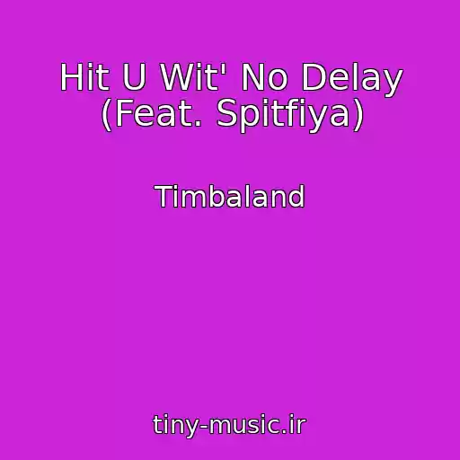 کاور آهنگ Hit U Wit' No Delay (Feat. Spitfiya) از Timbaland