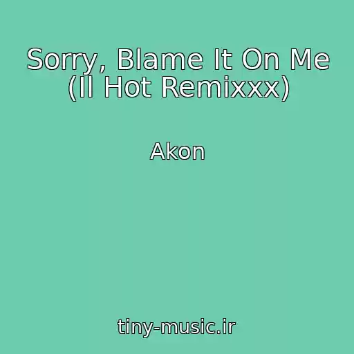کاور آهنگ Sorry, Blame It On Me (Il Hot Remixxx) از Akon