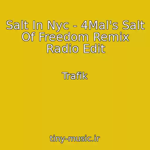 کاور آهنگ Salt In Nyc - 4Mal's Salt Of Freedom Remix Radio Edit از Trafik