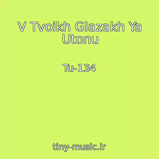 کاور آهنگ V Tvoikh Glazakh Ya Utonu از Tu-134