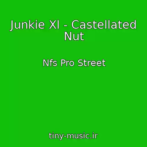 کاور آهنگ Junkie Xl - Castellated Nut از Nfs Pro Street