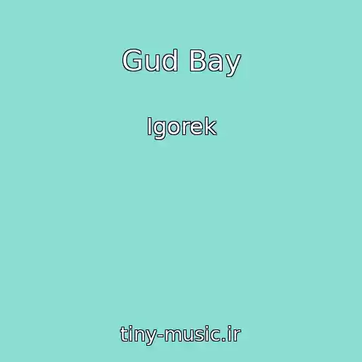 کاور آهنگ Gud Bay از Igorek