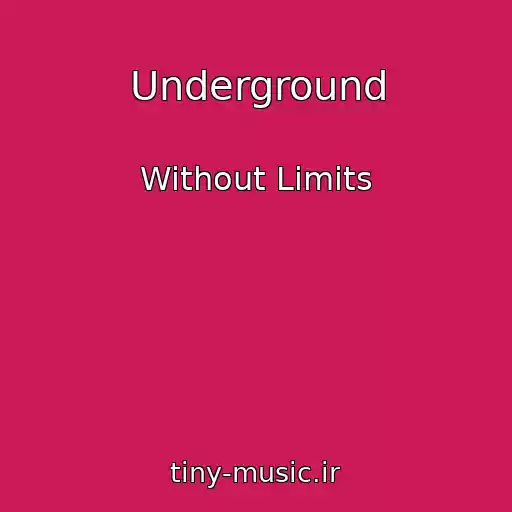کاور آهنگ Underground از Without Limits