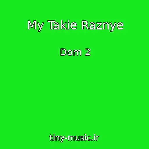 کاور آهنگ My Takie Raznye از Dom 2