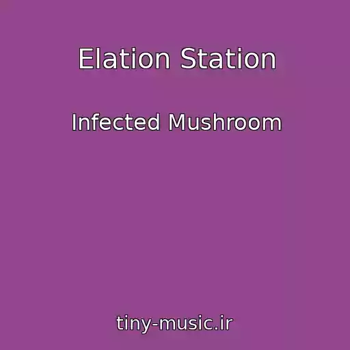 کاور آهنگ Elation Station از Infected Mushroom