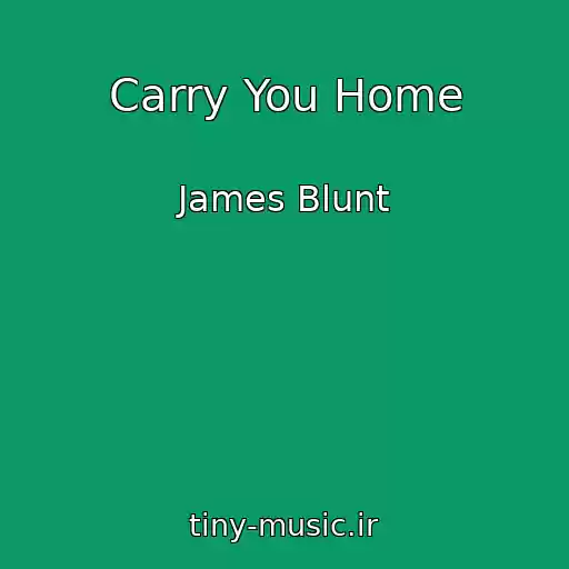 کاور آهنگ Carry You Home از James Blunt