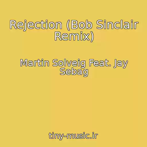 کاور آهنگ Rejection (Bob Sinclair Remix) از Martin Solveig Feat. Jay Sebag