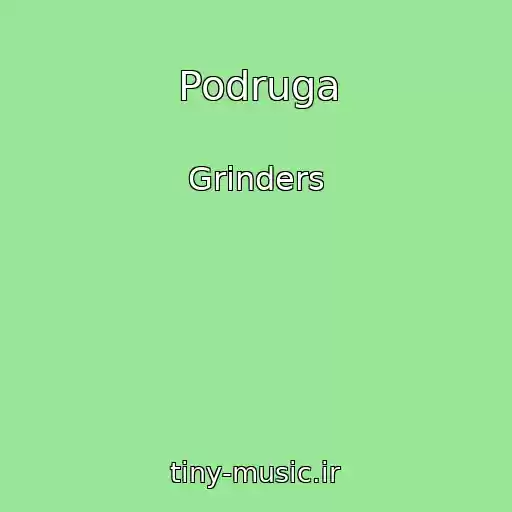 کاور آهنگ Podruga از Grinders