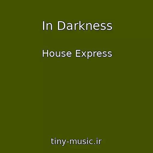 کاور آهنگ In Darkness از House Express