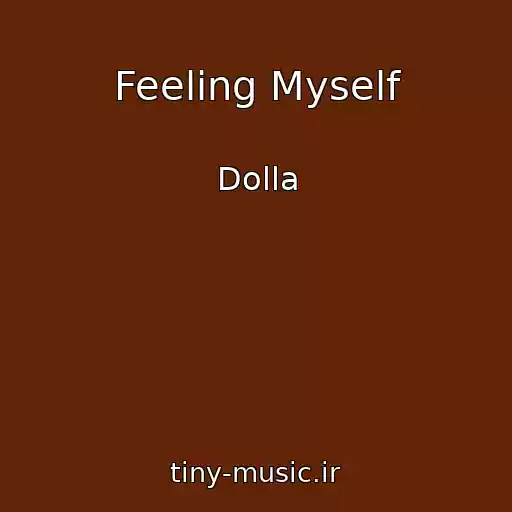 کاور آهنگ Feeling Myself از Dolla
