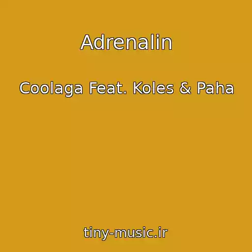 کاور آهنگ Adrenalin از Coolaga Feat. Koles & Paha