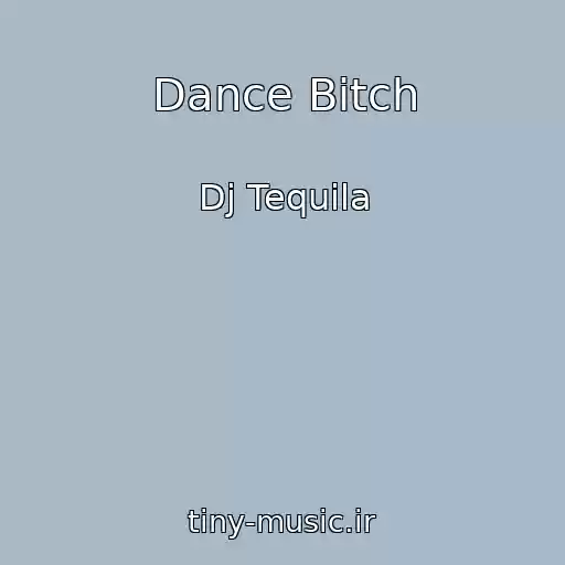 کاور آهنگ Dance Bitch از Dj Tequila