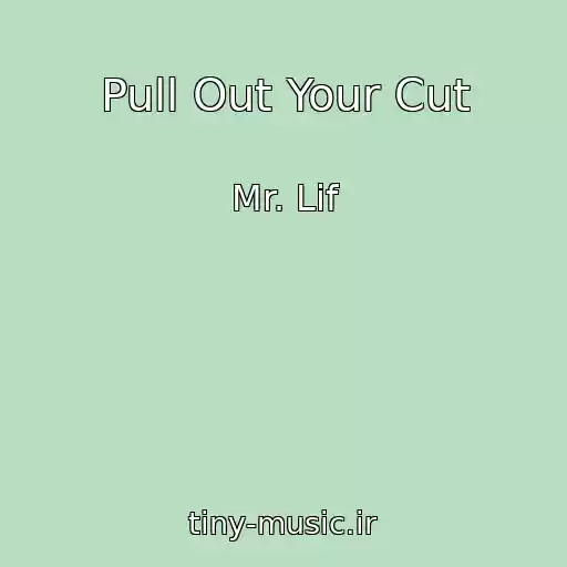 کاور آهنگ Pull Out Your Cut از Mr. Lif