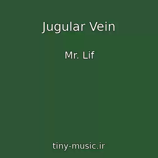 کاور آهنگ Jugular Vein از Mr. Lif