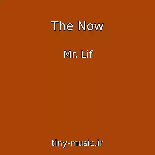 کاور آهنگ The Now از Mr. Lif
