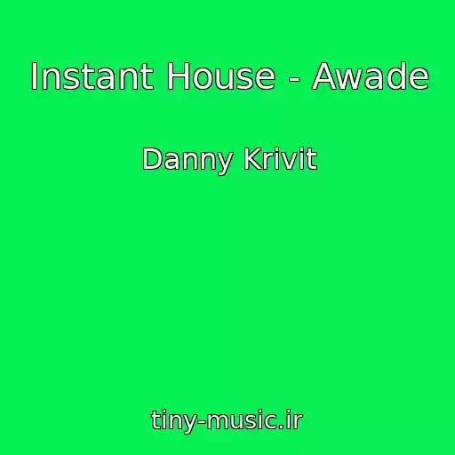 کاور آهنگ Instant House - Awade از Danny Krivit
