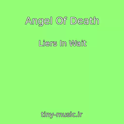 کاور آهنگ Angel Of Death از Liers In Wait