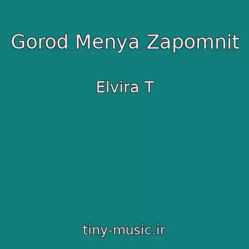کاور آهنگ Gorod Menya Zapomnit از Elvira T