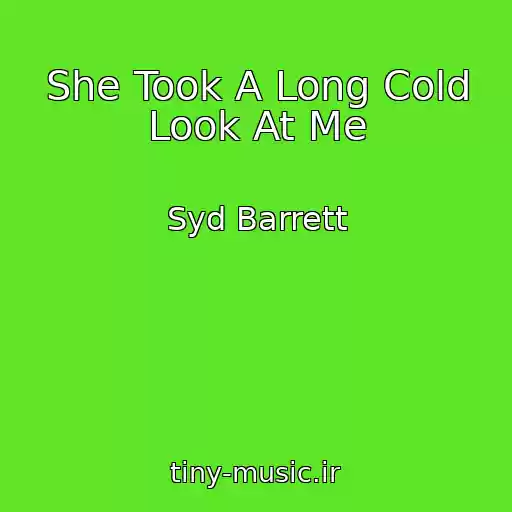 کاور آهنگ She Took A Long Cold Look At Me از Syd Barrett