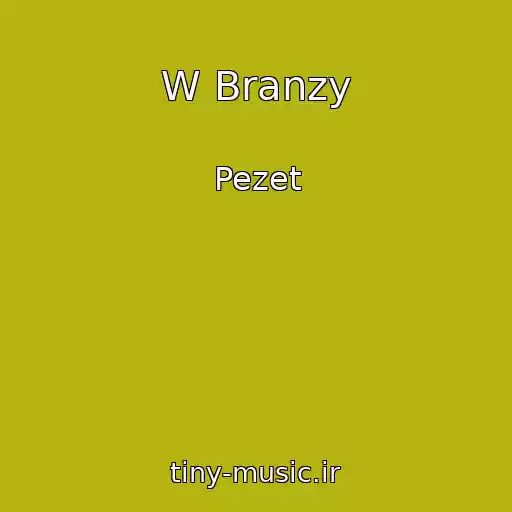 کاور آهنگ W Branzy از Pezet