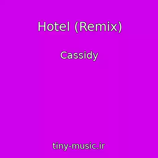 کاور آهنگ Hotel (Remix) از Cassidy