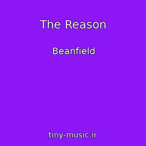 کاور آهنگ The Reason از Beanfield