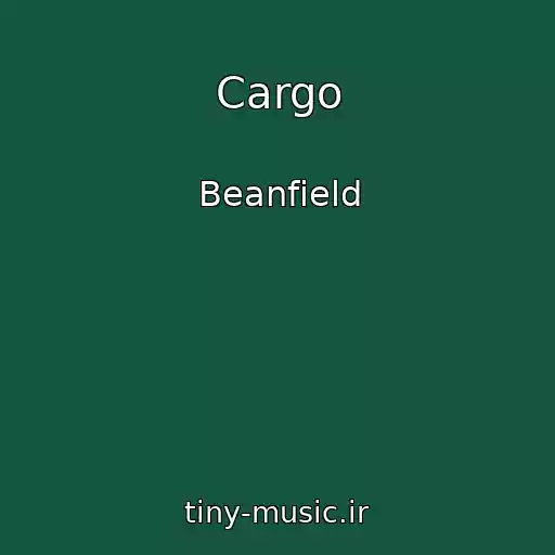 کاور آهنگ Cargo از Beanfield