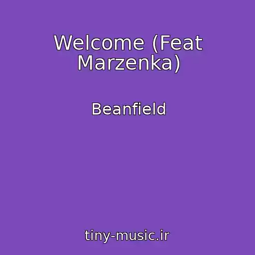 کاور آهنگ Welcome (Feat Marzenka) از Beanfield