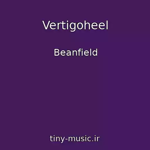 کاور آهنگ Vertigoheel از Beanfield