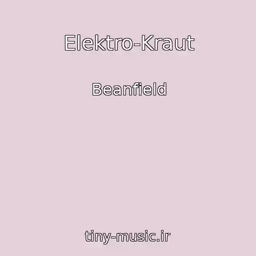 کاور آهنگ Elektro-Kraut از Beanfield