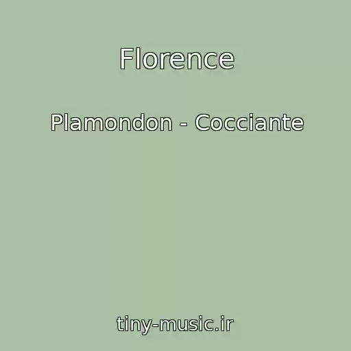 کاور آهنگ Florence از Plamondon - Cocciante
