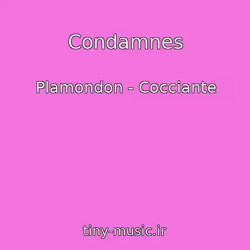 کاور آهنگ Condamnes از Plamondon - Cocciante