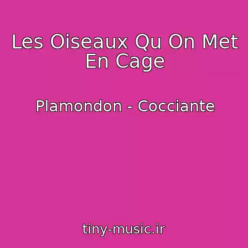 کاور آهنگ Les Oiseaux Qu On Met En Cage از Plamondon - Cocciante