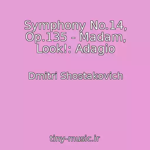 کاور آهنگ Symphony No.14, Op.135 - Madam, Look!: Adagio از Dmitri Shostakovich