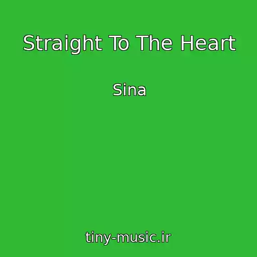 کاور آهنگ Straight To The Heart از Sina