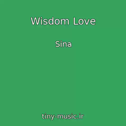 کاور آهنگ Wisdom Love از Sina