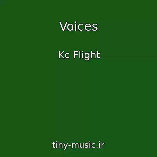 کاور آهنگ Voices از Kc Flight