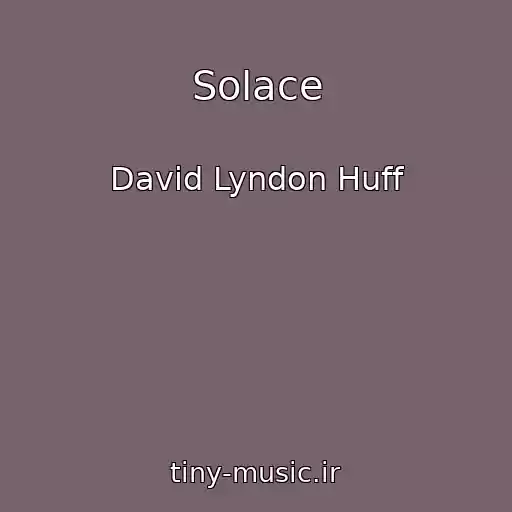 کاور آهنگ Solace از David Lyndon Huff