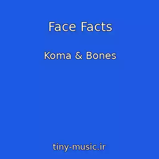 کاور آهنگ Face Facts از Koma & Bones