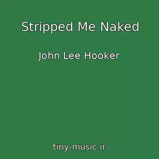 کاور آهنگ Stripped Me Naked از John Lee Hooker