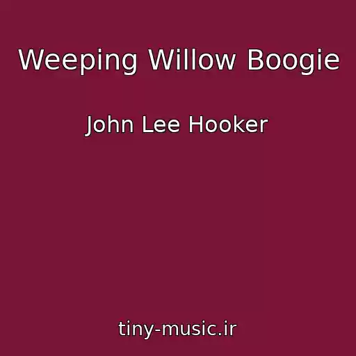 کاور آهنگ Weeping Willow Boogie از John Lee Hooker