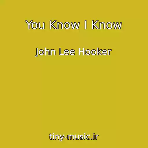 کاور آهنگ You Know I Know از John Lee Hooker