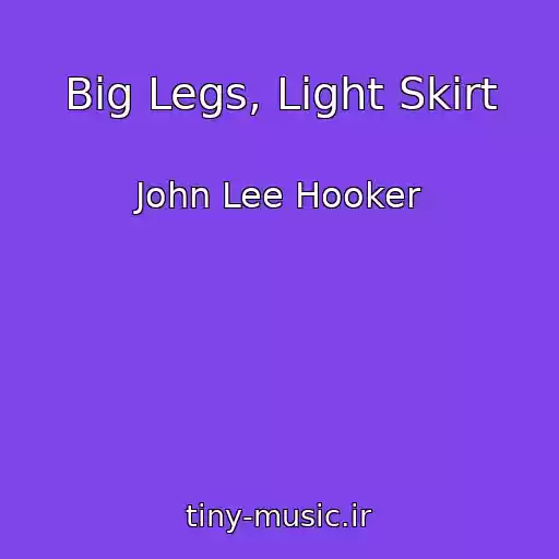 کاور آهنگ Big Legs, Light Skirt از John Lee Hooker