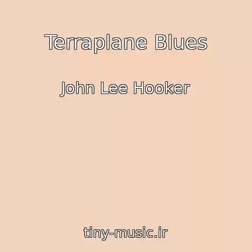 کاور آهنگ Terraplane Blues از John Lee Hooker