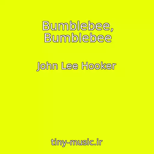 کاور آهنگ Bumblebee, Bumblebee از John Lee Hooker