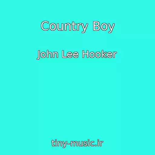 کاور آهنگ Country Boy از John Lee Hooker