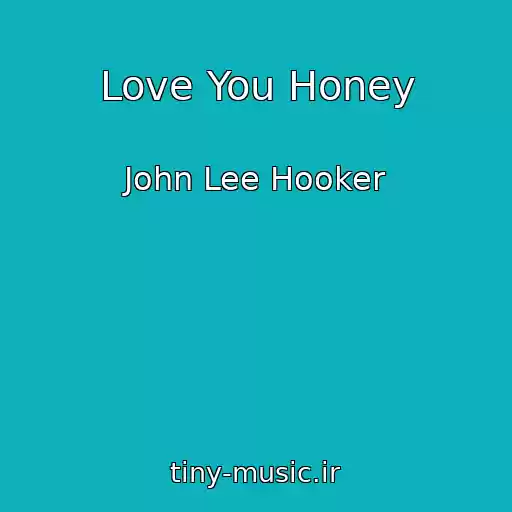 کاور آهنگ Love You Honey از John Lee Hooker