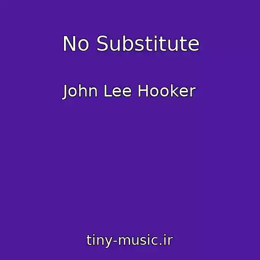 کاور آهنگ No Substitute از John Lee Hooker