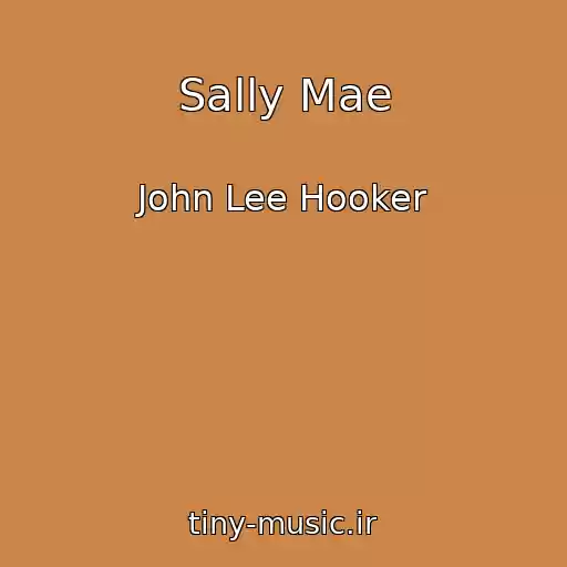 کاور آهنگ Sally Mae از John Lee Hooker