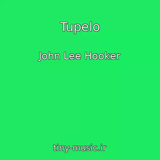 کاور آهنگ Tupelo از John Lee Hooker
